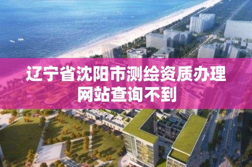 遼寧省沈陽市測繪資質辦理網站查詢不到