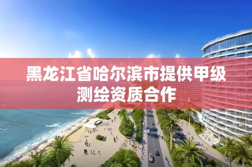 黑龍江省哈爾濱市提供甲級測繪資質(zhì)合作