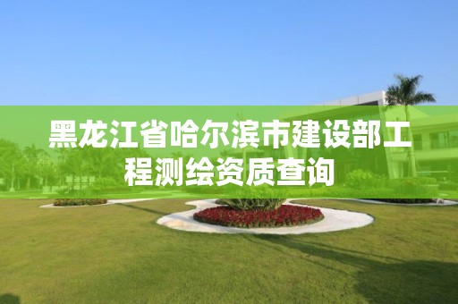 黑龍江省哈爾濱市建設部工程測繪資質查詢