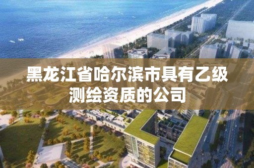 黑龍江省哈爾濱市具有乙級(jí)測(cè)繪資質(zhì)的公司