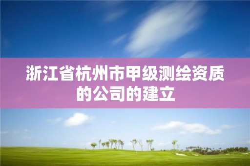 浙江省杭州市甲級測繪資質的公司的建立