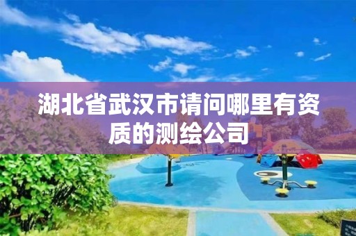 湖北省武漢市請問哪里有資質(zhì)的測繪公司