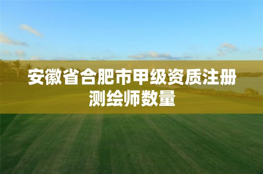 安徽省合肥市甲級資質注冊測繪師數量