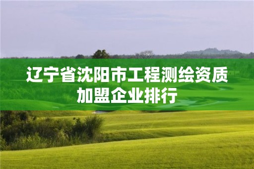 遼寧省沈陽(yáng)市工程測(cè)繪資質(zhì)加盟企業(yè)排行