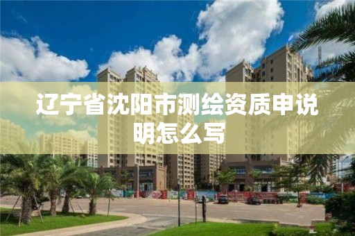 遼寧省沈陽市測繪資質(zhì)申說明怎么寫