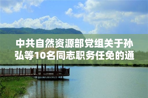 中共自然資源部黨組關于孫弘等10名同志職務任免的通知