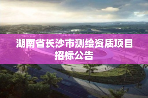 湖南省長沙市測繪資質項目招標公告