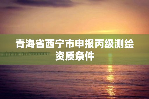 青海省西寧市申報丙級測繪資質條件