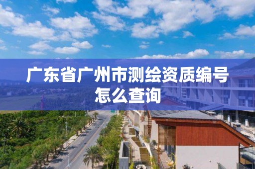 廣東省廣州市測繪資質編號怎么查詢