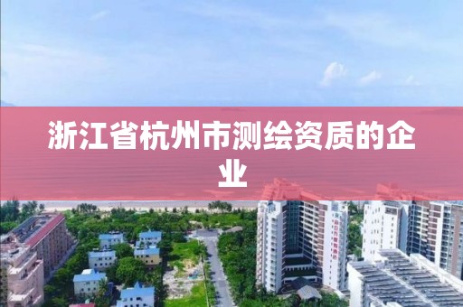 浙江省杭州市測繪資質(zhì)的企業(yè)