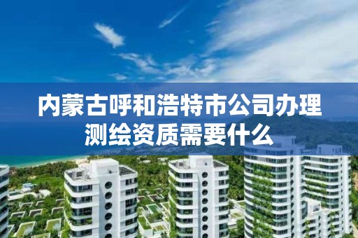 內蒙古呼和浩特市公司辦理測繪資質需要什么