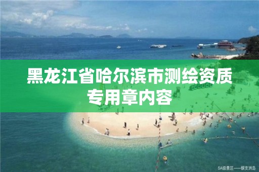 黑龍江省哈爾濱市測繪資質專用章內容