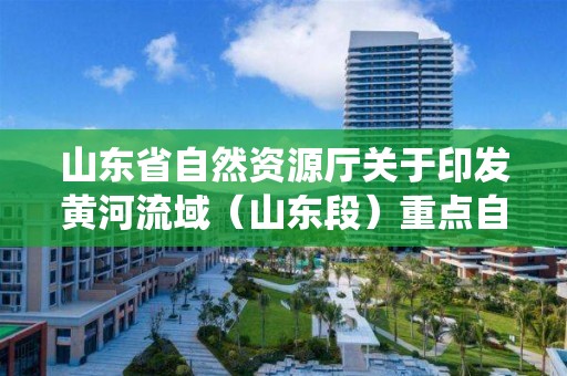 山東省自然資源廳關于印發黃河流域（山東段）重點自然資源統一確權登記工作方案的通知