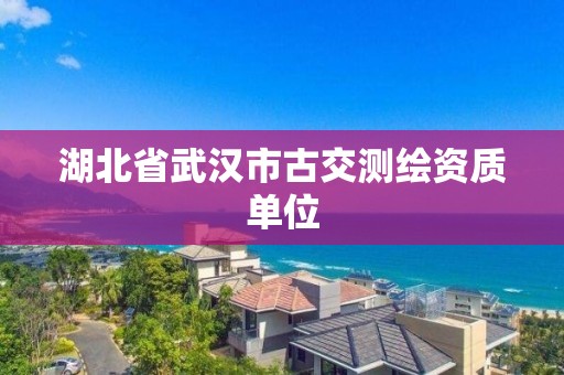 湖北省武漢市古交測(cè)繪資質(zhì)單位