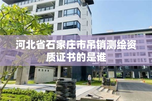 河北省石家莊市吊銷測繪資質證書的是誰