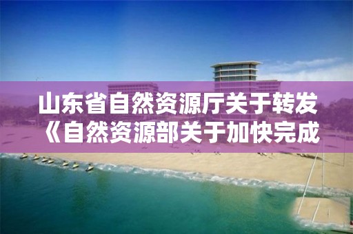 山東省自然資源廳關于轉發《自然資源部關于加快完成集體土地所有權確權登記成果更新匯交的通知》的通知