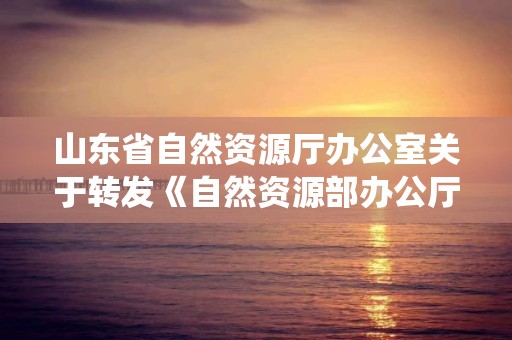 山東省自然資源廳辦公室關于轉發《自然資源部辦公廳關于做好2021年度非油氣礦產資源開發利用統計工作的通知》的通知