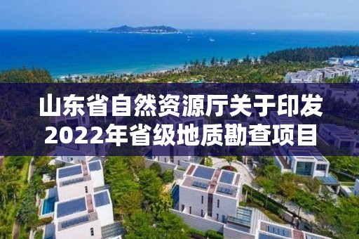 山東省自然資源廳關于印發2022年省級地質勘查項目立項指南的通知