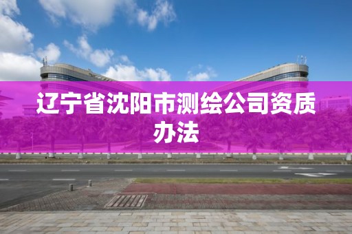 遼寧省沈陽市測繪公司資質辦法