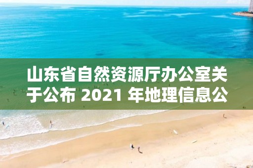 山東省自然資源廳辦公室關于公布 2021 年地理信息公共服務平臺綜合評估情況的通知