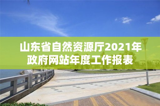 山東省自然資源廳2021年政府網(wǎng)站年度工作報表