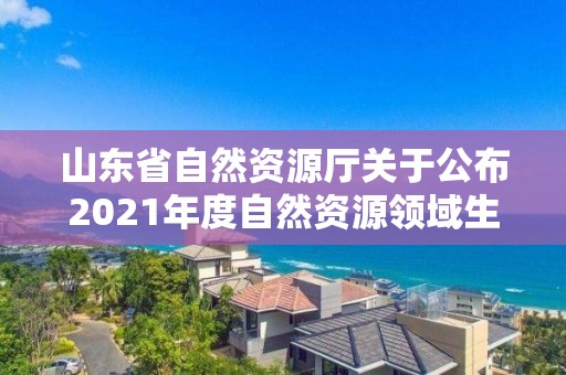 山東省自然資源廳關于公布2021年度自然資源領域生態產品價值實現典型案例的通報