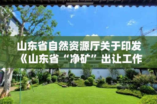 山東省自然資源廳關于印發《山東省“凈礦”出讓工作指導意見（試行）》的通知