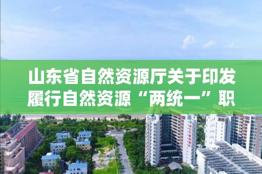 山東省自然資源廳關于印發履行自然資源“兩統一”職責服務保障高質量發展政策清單（海洋領域類）的通知