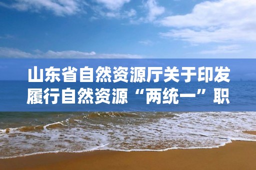 山東省自然資源廳關于印發履行自然資源“兩統一”職責服務保障高質量發展政策清單（生態修復類）的通知