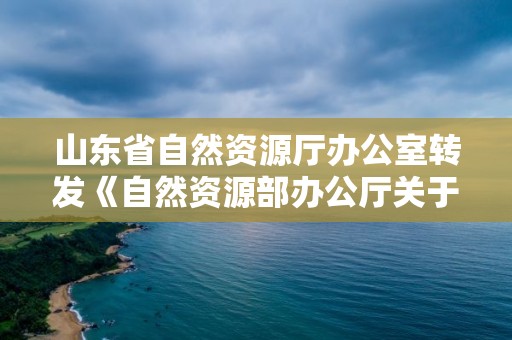 山東省自然資源廳辦公室轉發《自然資源部辦公廳關于進一步加強補充耕地項目管理嚴格新增耕地核實認定的通知》的通知