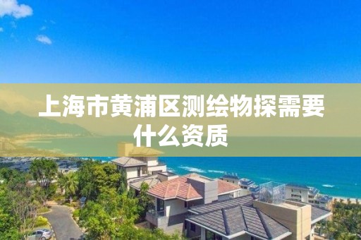 上海市黃浦區測繪物探需要什么資質