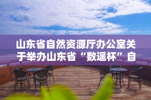 山東省自然資源廳辦公室關于舉辦山東省“數遙杯”自然資源數字賦能創新應用大賽的通知