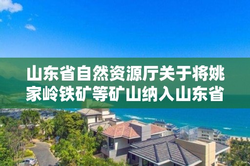 山東省自然資源廳關于將姚家嶺鐵礦等礦山納入山東省省級綠色礦山名錄（第四批）的公告