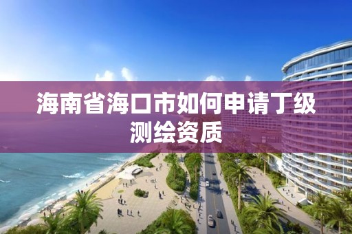 海南省海口市如何申請丁級測繪資質