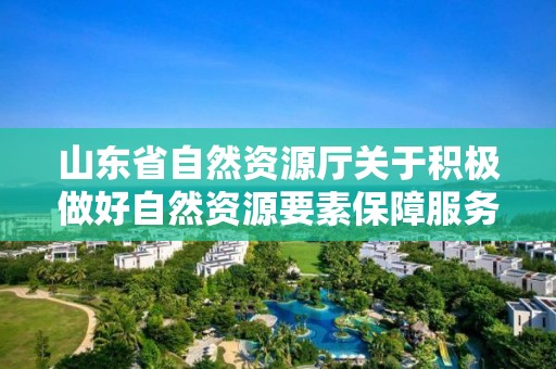 山東省自然資源廳關于積極做好自然資源要素保障服務經濟穩增長的通知