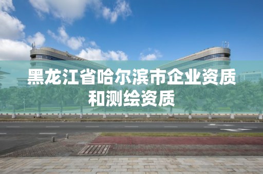 黑龍江省哈爾濱市企業資質和測繪資質