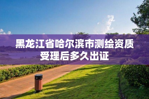 黑龍江省哈爾濱市測繪資質受理后多久出證