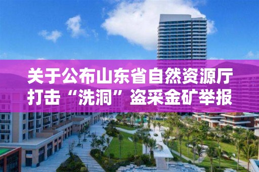 關(guān)于公布山東省自然資源廳打擊“洗洞”盜采金礦舉報(bào)方式的公告