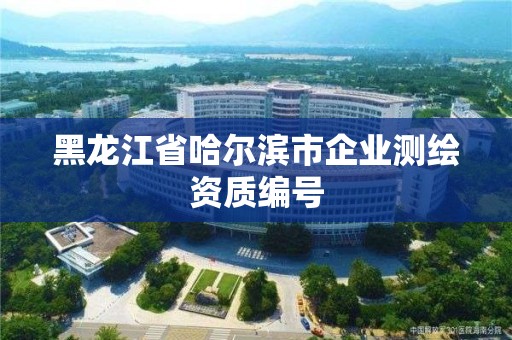 黑龍江省哈爾濱市企業測繪資質編號