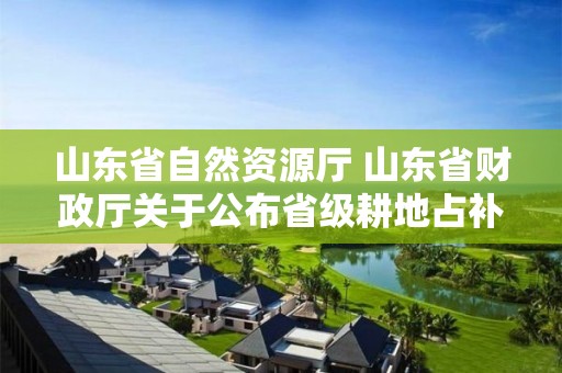 山東省自然資源廳 山東省財政廳關于公布省級耕地占補平衡指標調劑指導價格的通知