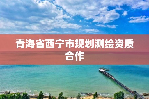 青海省西寧市規劃測繪資質合作