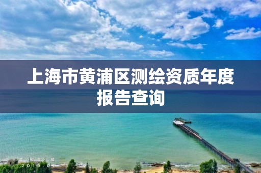 上海市黃浦區測繪資質年度報告查詢