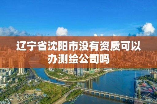 遼寧省沈陽市沒有資質(zhì)可以辦測繪公司嗎