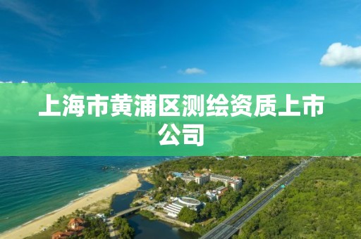 上海市黃浦區測繪資質上市公司