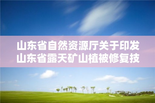 山東省自然資源廳關于印發山東省露天礦山植被修復技術導則（試行）的通知