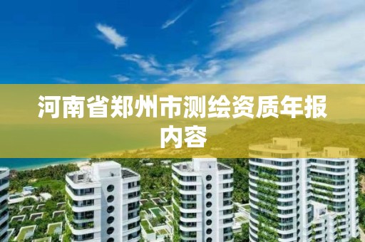 河南省鄭州市測繪資質年報內容