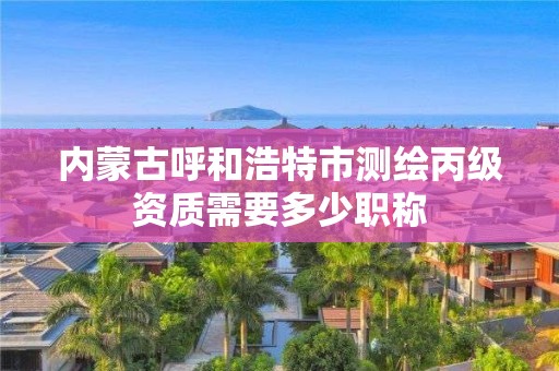 內蒙古呼和浩特市測繪丙級資質需要多少職稱