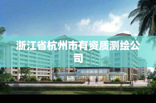 浙江省杭州市有資質測繪公司