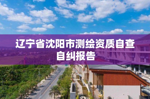 遼寧省沈陽市測繪資質自查自糾報告