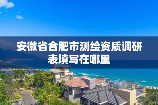 安徽省合肥市測繪資質調研表填寫在哪里